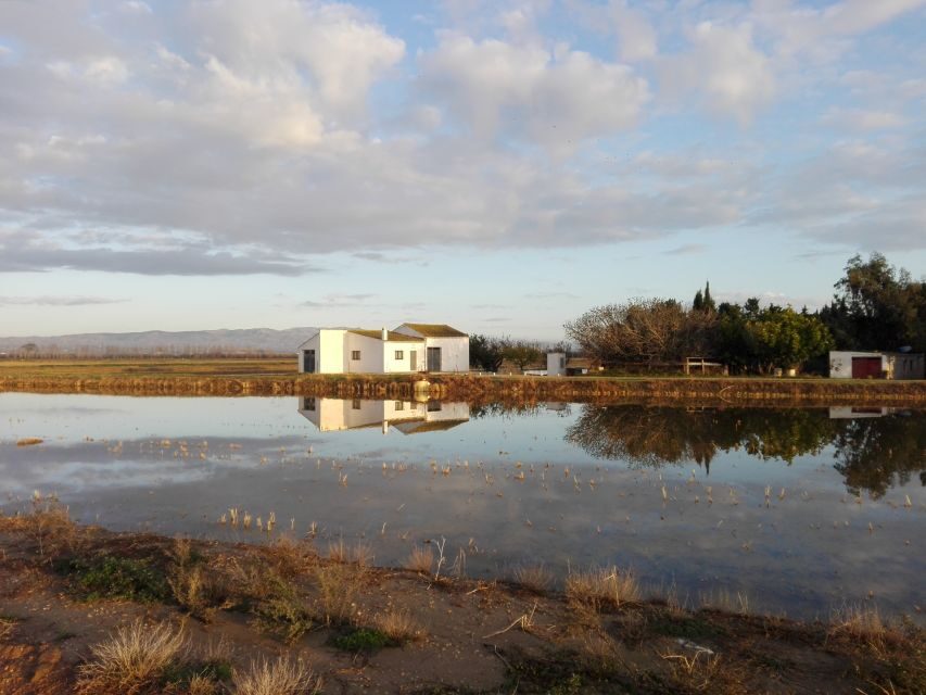 Ebro Delta: Northern Delta Guided Tour with a Local - How the Tour Is Structured