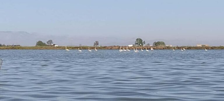 Ebro Delta: Self-guided tour to the Sant Joan Tower - Key Points