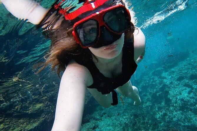 Eco Adventure Cenotes Casa Tortuga!+ Tulum Ruins From Cancun & Playa Del Carmen - In-Depth Breakdown of the Day