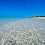 Eco Shelling Cruise to Keewaydin Island - The Sum Up