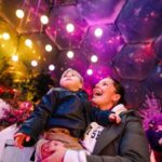 Eden Project Christmas Lights Experience - The Highlights That Make It Special