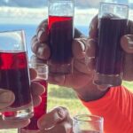 Edible Hibiscus Guided Farm Tour (Big Island) - The Itinerary: What to Expect During Your Visit