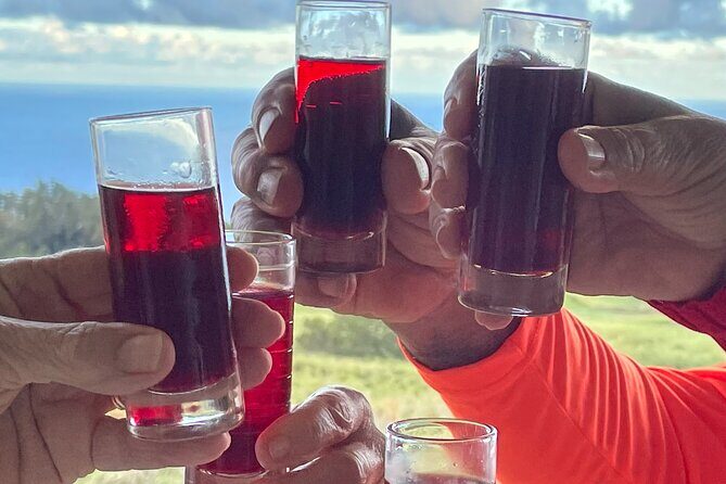 Edible Hibiscus Guided Farm Tour (Big Island) - The Itinerary: What to Expect During Your Visit