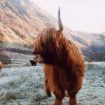 Edinburgh: 18-39s 3-Day Tour of Scottish Highlands & Skye - Itinerary Breakdown: What to Expect