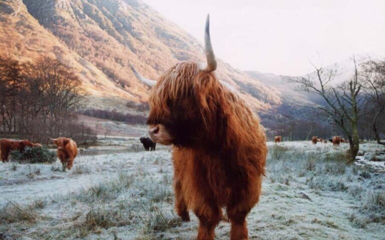 Edinburgh: 18-39s 3-Day Tour of Scottish Highlands & Skye - Itinerary Breakdown: What to Expect