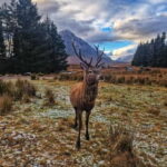 Edinburgh: 3-Day Isle of Skye & Highlands Guided Tour - What’s Included and What to Expect