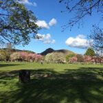 Edinburgh: a Scottish experience for Children in German - The Real Experience: What Reviewers Say