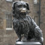 Edinburgh: Castle & Old Town Tour with Tickets, Map, & Guide - The Guides: Knowledgeable and Engaging
