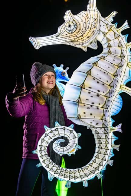 Edinburgh: Edinburgh Zoo Giant Lanterns Entry Tickets - The Value of Your Ticket