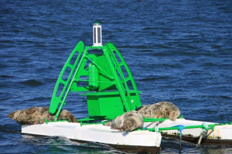 Edinburgh: 'Firth of Forth' Three Bridges Sightseeing Cruise - The Itinerary Breakdown