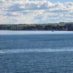 Edinburgh: Guided Day Tour with South Queensferry & Kelpies - Is It Worth the Cost?