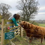 Edinburgh: Highland Cow, Blackness Castle, and Cake Tour - The Balance of Pros and Cons