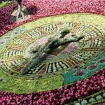 Edinburgh Old Town Hidden Gems Private Walking Tour - The Experience: What It’s Like on the Ground