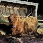 Edinburgh: Private Highlands & Loch Ness Day Voyage - The Value of This Experience