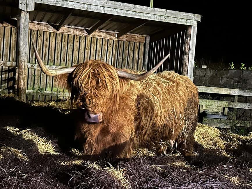 Edinburgh: Private Highlands & Loch Ness Day Voyage - The Value of This Experience