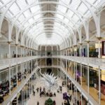 Edinburgh Private Tour of the National Museum of Scotland - Detailed Breakdown of the Experience