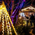 egapark Admission: Winter Lights - Practical Details and Visitor Tips