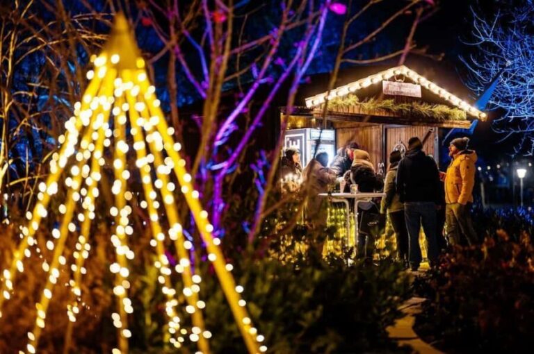 egapark Admission: Winter Lights - Practical Details and Visitor Tips