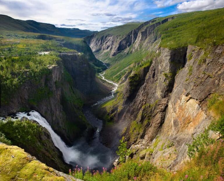 Eidfjord: Shore Excursion with Scenic Adventure - Who Is This Tour Best For?