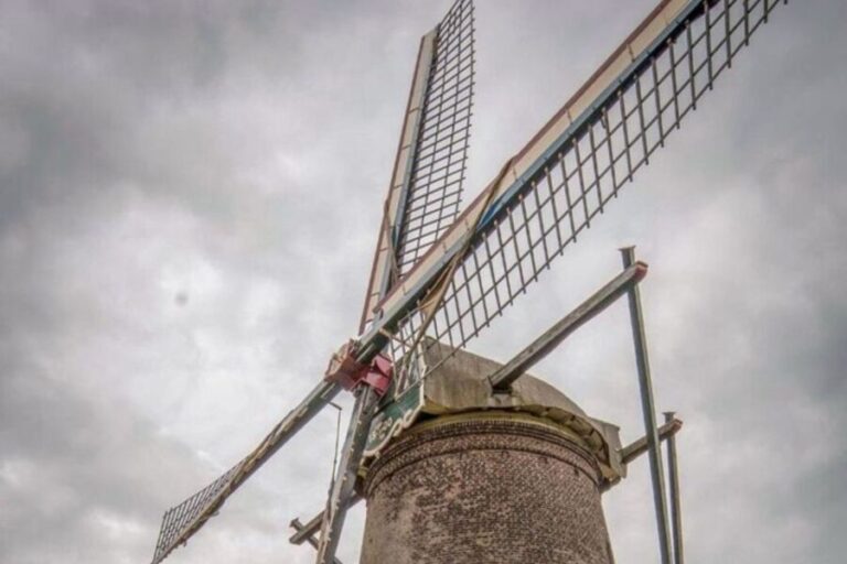 Eindhoven: Private custom Walking tour with a local guide - Highlights of the Tour