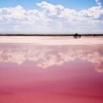 Ek Balam, Rio Lagartos and Las Coloradas Private Tour from Cancun - Who Is This Tour Best For?