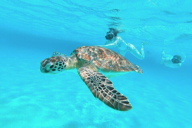 El Cielo Cozumel Snorkel Private Boat + Food + Drinks + Beach - Frequently Asked Questions