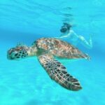 El Cielo Cozumel Snorkel Share Boat + Reefs + Food Drinks + Beach - What Makes This Tour a Good Fit?