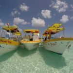 El Cielo Cozumel Snorkeling by Private Boat - What We Like: Strengths of the Tour