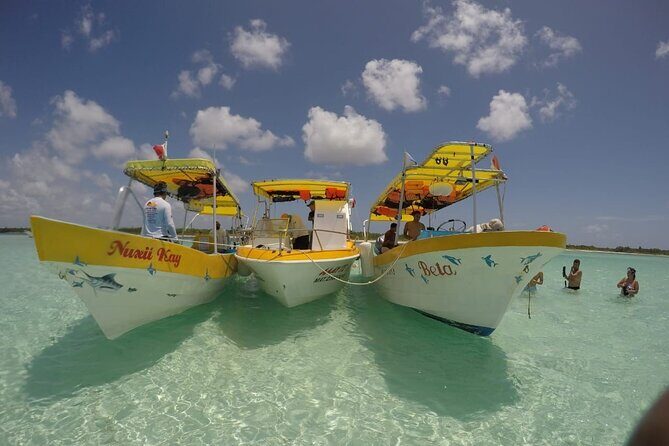 El Cielo Cozumel Snorkeling by Private Boat - What We Like: Strengths of the Tour