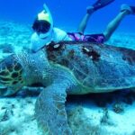 El Cielo Palancar and Columbia Snorkeling Tour - The Practical Side: Logistics and Considerations