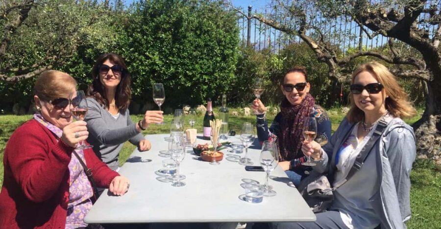 El Penedès: Cava Winery Small Group Tour - What You’ll Actually Do