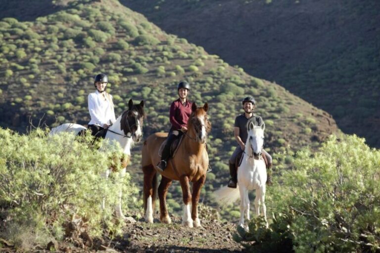 El Salobre: Horse Riding Adventure with Transfer Options - The Horses and Guides: The Heart of the Experience