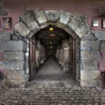 El Sauzal: Winery Tour and Mojo Sauce Workshop - The Winery Visit: More Than Just a Drink