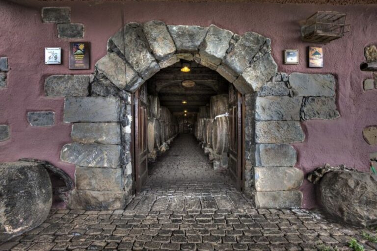 El Sauzal: Winery Tour and Mojo Sauce Workshop - The Winery Visit: More Than Just a Drink