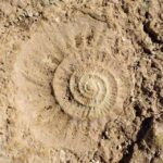 El Torcal de Antequera Hike with Transfer - What the Reviews Say