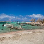 Elafonisi & Milia Mountain - Jeep Tour with Loungers and Lunch - The Experience from Reviews