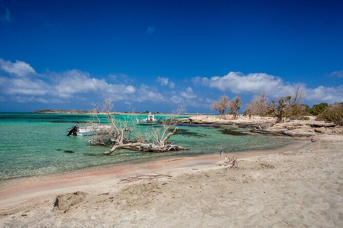 Elafonisi & Milia Mountain - Jeep Tour with Loungers and Lunch - The Experience from Reviews