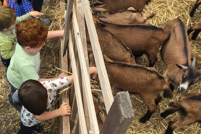 Elba Island Farmhouse tasting experience - The Experience’s Strengths and Weaknesses