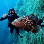 Elba Island: Scuba Diving Experience with Boat Tour - The Itinerary Breakdown: What You’ll Do