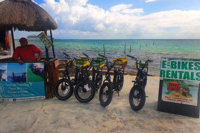 Electric Bike Adventure - What Travelers Say