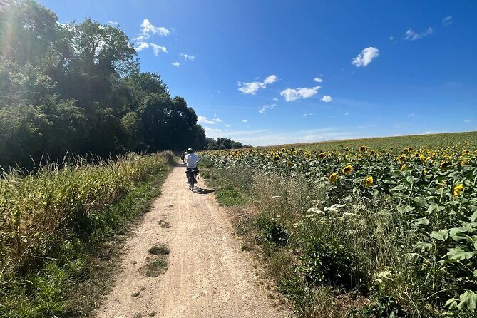 Electric bike rental in Paris - Full-Day and Multi-Day Rides