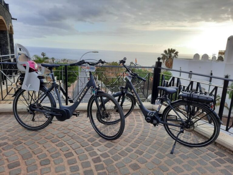Electric City Bike Rental with Hotel Delivery - Price and Value: Is It Worth It?