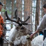 Electric Fatbike Trip to the Reindeer Farm - The Value of This Tour