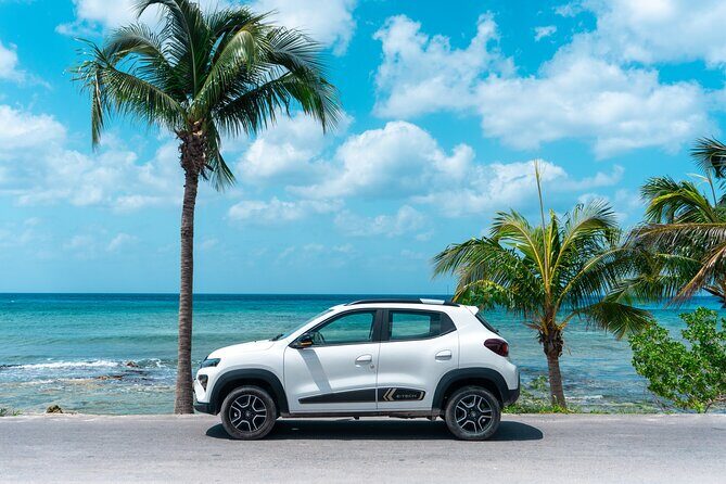 Electric Island Tour with Snorkel, Picnic and Otoch Mayan Experience - Final Thoughts