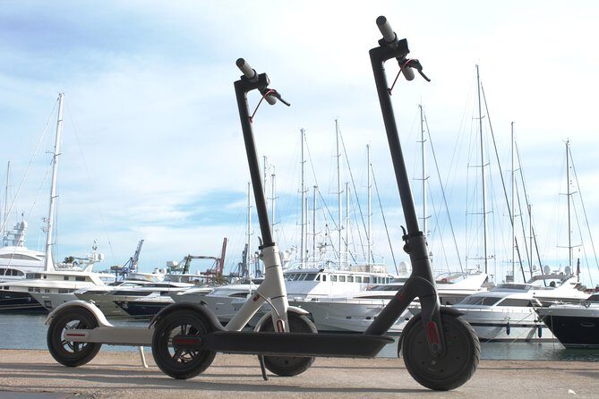 Electric Scooter Rental - Reviews and Real Traveler Experiences