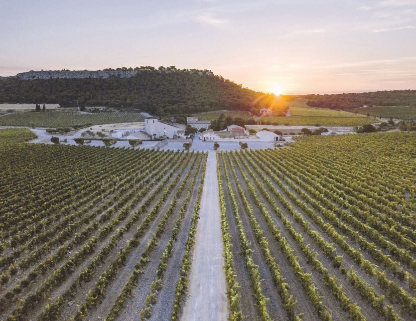 Electric Scooter Tour of Château l'Hospitalet estate - The Itinerary Breakdown