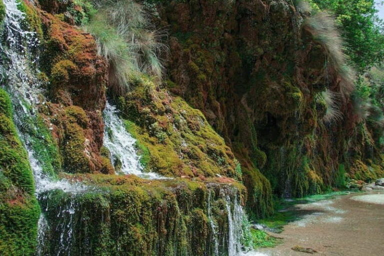 Elite Crete: Kourtaliotiko Canyon & Preveli Palm Oasis - About the Logistics and Overall Value