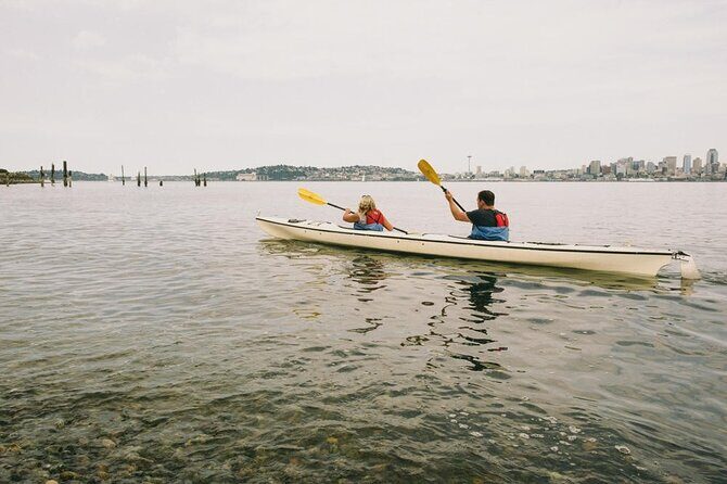Elliott Bay Sea Kayak Tour - Who Should Consider This Tour?