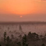 emeri Great Bog With Optional Sunrise & Jrmala Visit - An In-Depth Look at the Great Kemeri Bog Tour
