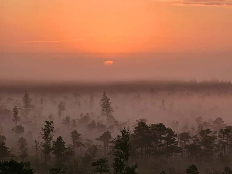 emeri Great Bog With Optional Sunrise & Jrmala Visit - An In-Depth Look at the Great Kemeri Bog Tour